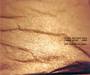 chartier - günter - roden - (for morton feldman) chartier - günter - roden - (for morton feldman)