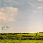 peter wright - yellow horizon peter wright - yellow horizon