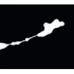 keith rowe - sachiko m - contact keith rowe - sachiko m - contact