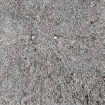 chris corsano - another dull dawn chris corsano - another dull dawn