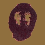 the skull defekts - the drone drug the skull defekts - the drone drug