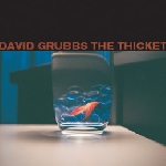 david grubbs - the thicket david grubbs - the thicket