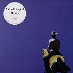 animal hospital - memory animal hospital - memory