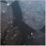 terry jennings, john cage / john tilbury, sebastian lexer - lost daylight terry jennings, john cage / john tilbury, sebastian lexer - lost daylight