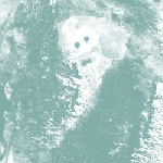 birds of delay - the cut (ltd 300) birds of delay - the cut (ltd 300)