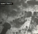 kasper t. toeplitz - fissure kasper t. toeplitz - fissure