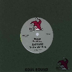 shellac / mule - split 7 shellac / mule - split 7