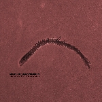 koldvoid / deep-pression - treasures from the dead seas koldvoid / deep-pression - treasures from the dead seas