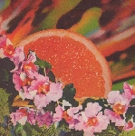 rock'n'roll jackie - pain jerk - super relaxed rock'n'roll jackie - pain jerk - super relaxed