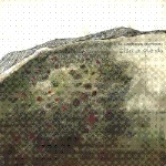 glen or glenda - la contrebande des mouches glen or glenda - la contrebande des mouches