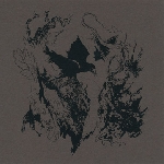 oikos - ecotono oikos - ecotono
