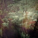 elodie (timo van luijk & andrew chalk) - echos pastoraux (ltd. 400) elodie (timo van luijk & andrew chalk) - echos pastoraux (ltd. 400)