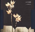 brume - the sun // the moon brume - the sun // the moon