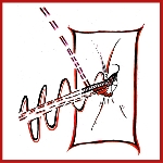 john mannion - slice through or / in glassmetal john mannion - slice through or / in glassmetal