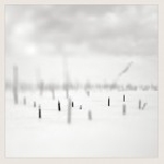 taylor deupree + marcus fischer - in a place of such graceful shapes (ltd. 500) taylor deupree + marcus fischer - in a place of such graceful shapes (ltd. 500)