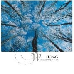 fjernlys - within the mind of ghost fjernlys - within the mind of ghost