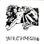 voltigeurs (matthew bower - samantha davis) - s/t voltigeurs (matthew bower - samantha davis) - s/t