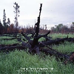 pauline oliveros - primordial / lift (black vinyl) pauline oliveros - primordial / lift (black vinyl)