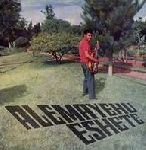 alemayehu eshete - s/t alemayehu eshete - s/t