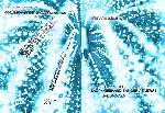 verwandlung (eazy - gerhard zander - emerge) - das audiovisuelle kollektiv verwandlung (eazy - gerhard zander - emerge) - das audiovisuelle kollektiv