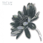 first law - a future so bright first law - a future so bright