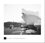 howard stelzer - frans de waard - pink pearl howard stelzer - frans de waard - pink pearl