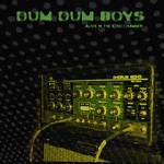 dum dum boys - alive in the echo chamber dum dum boys - alive in the echo chamber