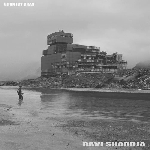 ravi shardja (xavier roux) - grün ist grau ravi shardja (xavier roux) - grün ist grau