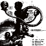 lussuria - american babylon lussuria - american babylon