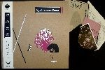 jojo hiroshige / shiraishi tamio - split jojo hiroshige / shiraishi tamio - split