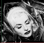 hausfrau - night tides hausfrau - night tides