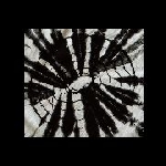 coh / dada 999 - hunger / dave's tripping attitude (clear) coh / dada 999 - hunger / dave's tripping attitude (clear)