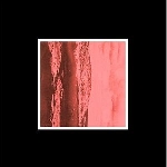 m.b. (maurizio bianchi) - telmegiddo m.b. (maurizio bianchi) - telmegiddo