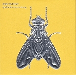 forch - furt (richard barrett & paul obermayer) - spukhafte fernwirkung forch - furt (richard barrett & paul obermayer) - spukhafte fernwirkung