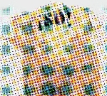 ¡NO! - s/t ¡NO! - s/t