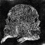 nate young (wolf eyes) - regression nate young (wolf eyes) - regression