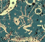 la peau et les os - apoptose la peau et les os - apoptose