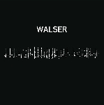 robert piotrowicz - walser robert piotrowicz - walser