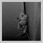 lasse marhaug - jon wesseltoft - nature lovers lasse marhaug - jon wesseltoft - nature lovers