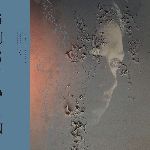 chaos echoes with mats gustafsson - sustain chaos echoes with mats gustafsson - sustain