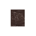francis plagne - moss trumpet francis plagne - moss trumpet