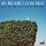 wolf müller meets the nile project - nouvelle ambiance wolf müller meets the nile project - nouvelle ambiance