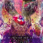 acid mothers temple & the melting paraiso u.f.o. - invisible eyes and phantom cathedral (rsd 2019) acid mothers temple & the melting paraiso u.f.o. - invisible eyes and phantom cathedral (rsd 2019)