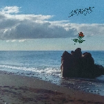 18 rays - s/t 18 rays - s/t