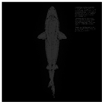 ... (kevin drumm) - s/t ... (kevin drumm) - s/t