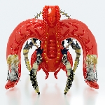 33emybw - Arthropods 33emybw - Arthropods