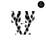 reinier van houdt - MMXX-04 reinier van houdt - MMXX-04