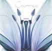 caprice - mirror caprice - mirror