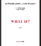 matthew shipp - nate wooley - what if ? matthew shipp - nate wooley - what if ?