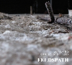 la pieuvre & circum grand orchestra (olivier benoit) - feldspath la pieuvre & circum grand orchestra (olivier benoit) - feldspath